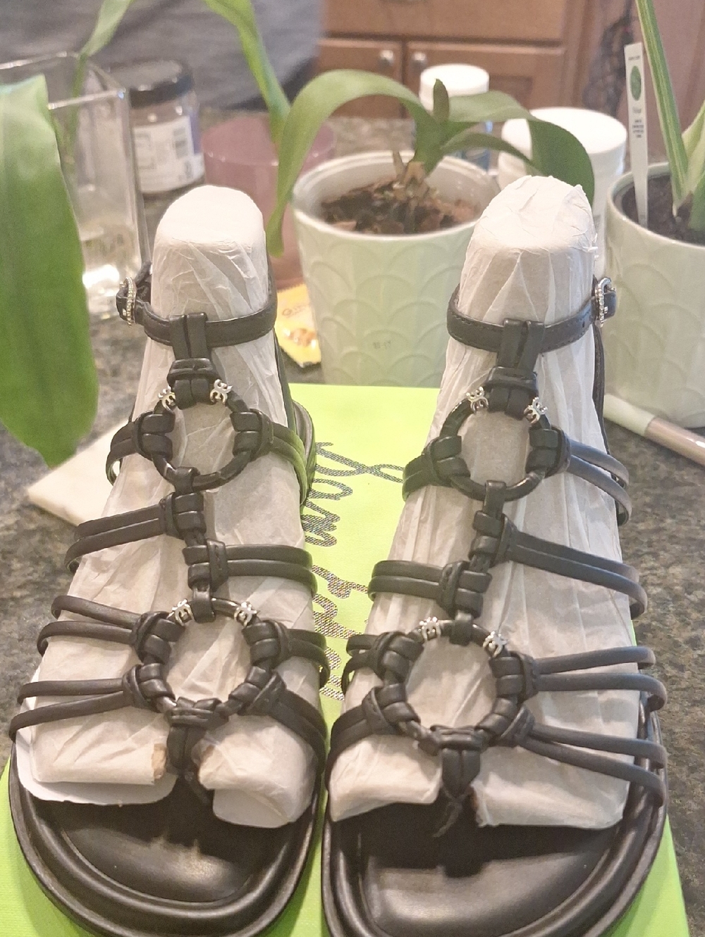 Sam Edelman Black Ring-Accent Gladiator Sandals